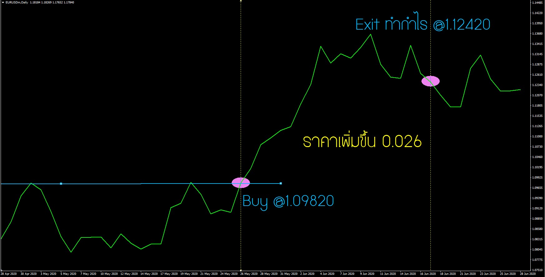 เทรด forex ทำกำไรว นละ1